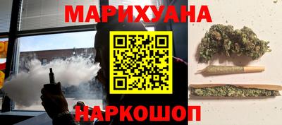 шишки Новодвинск