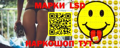 шишки Новодвинск