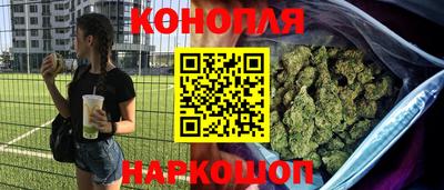 альфа пвп Новокубанск