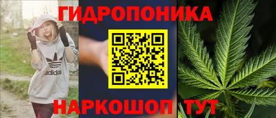 соль ск Новозыбков