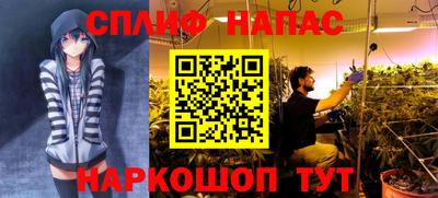 соль ск Новозыбков