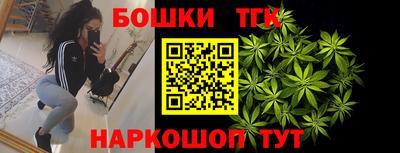 соль ск Новозыбков