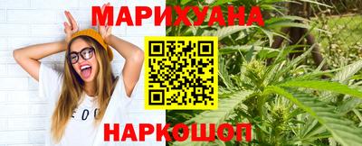 шишки Новодвинск