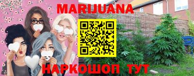 шишки Новодвинск