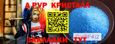 соль ск Новозыбков