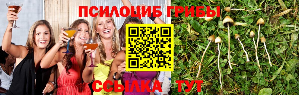 Псилоцибиновые грибы MAGIC MUSHROOMS  Вход с VPN  продажа наркотиков  Сердобск  Галлюциногенные грибы Magic Shrooms 