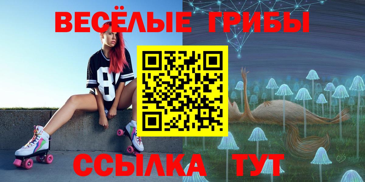 Псилоцибиновые грибы мицелий Сердобск